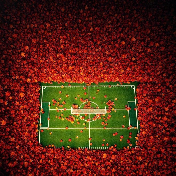 This autumnal scene captures the heart of football as seen from above. The vibrant colors of fall surround a meticulously marked football field, ready for a game that's just out of frame.