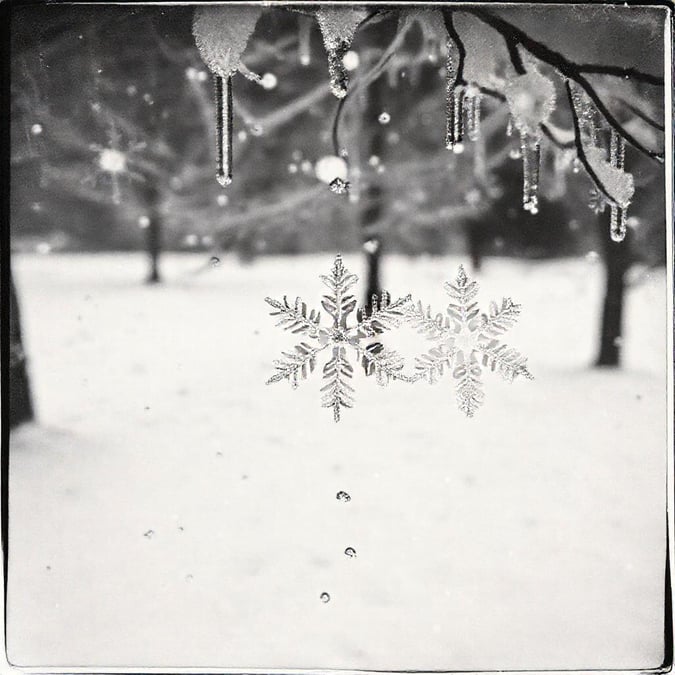 A tranquil winter scene with snowflakes falling against the backdrop of a snow-covered landscape.