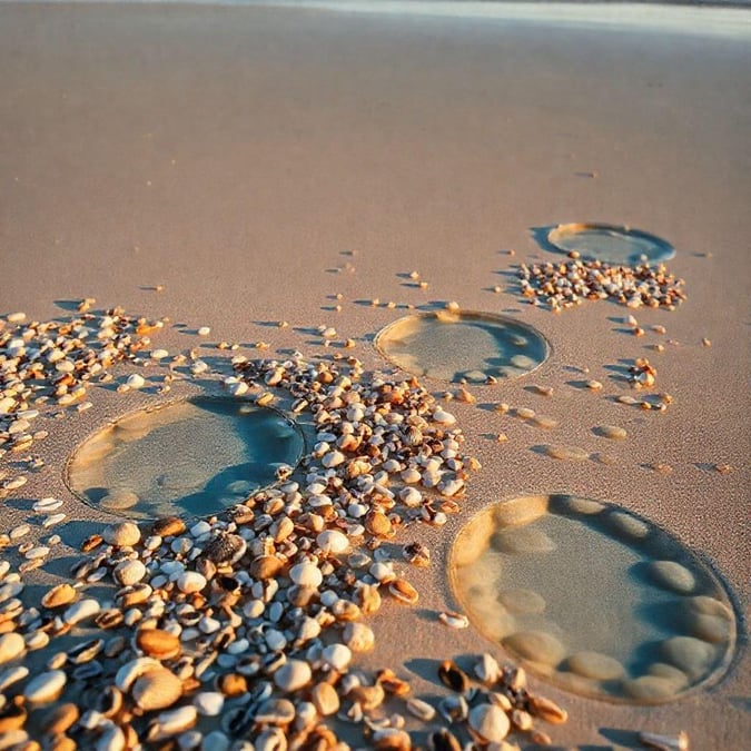 This image is a beautiful representation of the natural world, with seashells scattered across the sand. The shells are a mix of different shapes and sizes, and they add a touch of elegance to the scene. The sand is a warm, golden color, and it provides a subtle contrast to the cool, blue-gray color of the shells. The overall effect is one of serenity and tranquility, making this image perfect for use as a wallpaper.