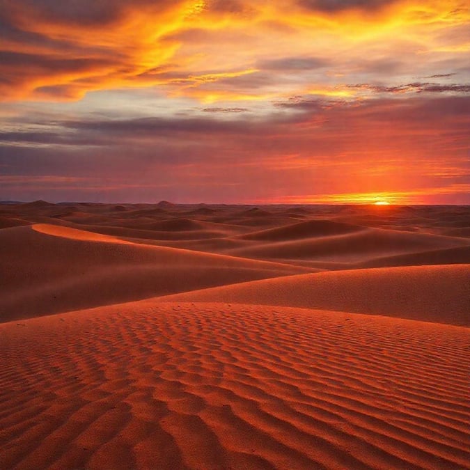 This beautiful sunset over the desert is a sight to behold. The vibrant colors of the sky and the vast expanse of the desert create a breathtaking scene.