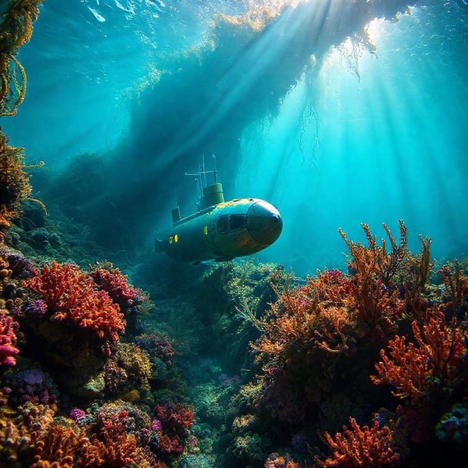 This image is a stunning representation of the beauty of the ocean. The vibrant coral reef and the sun's rays filtering through the water create a breathtaking scene.