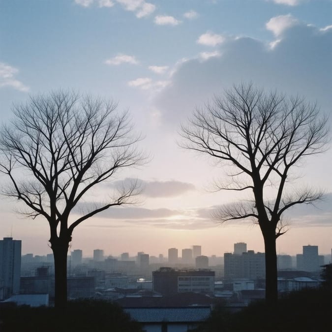 Eine ruhige Stadtlandschaft im Anime-Stil bei Sonnenuntergang, mit zwei majestätischen Bäumen und einem lebhaften Himmel.