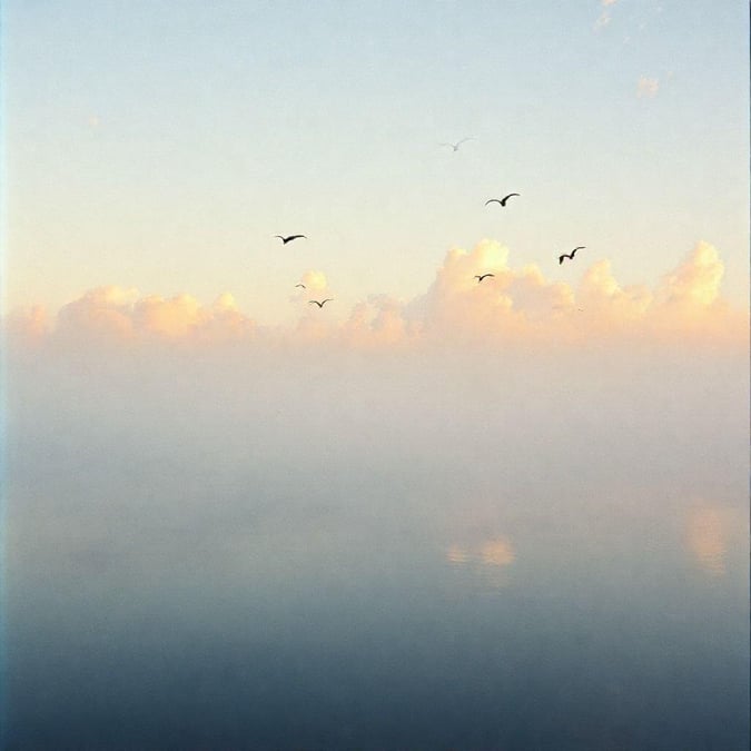 This serene wallpaper captures the beauty of seagulls soaring over the ocean at sunset, creating a peaceful atmosphere perfect for desktop and mobile use.