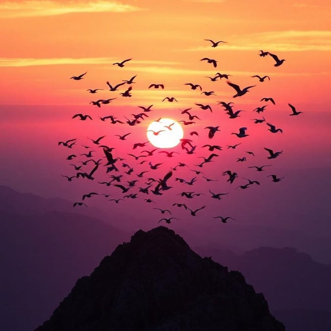 A breathtaking view where nature puts on an unforgettable show. The warm hues of the sunset are reflected in a flock of birds gracefully soaring against the backdrop of the mountains.