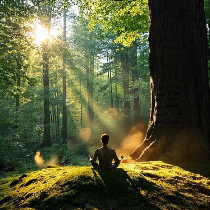 Find peace and tranquility in the serene beauty of nature, as this person meditates in a forest, surrounded by towering trees and lush greenery, with the sun shining through the leaves, creating a sense of calm and connection to the natural world.